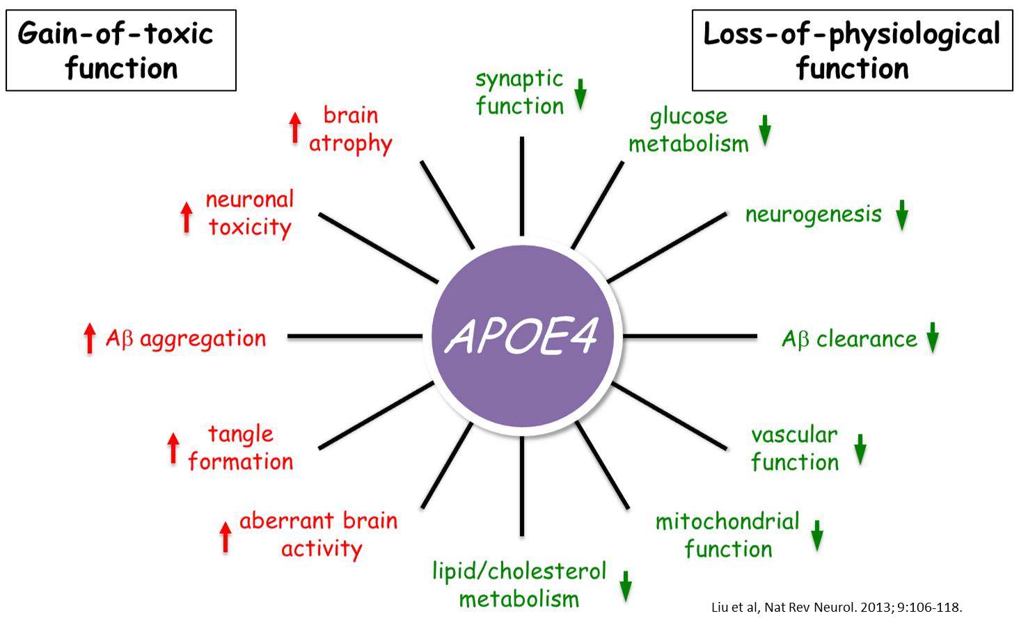 dementia function Do you know what the difference between dementia and alzheimer's disease is dementia is a group of symptoms and an umbrella. dementia function Do you know what the difference between dementia and alzheimer's disease is dementia is a group of symptoms and an umbrella.