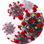 Important Research Updates