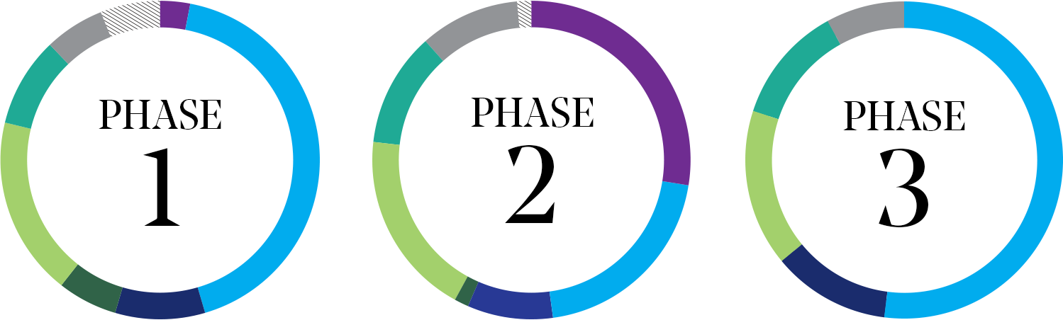 Phase 1, Phase 2, Phase 3