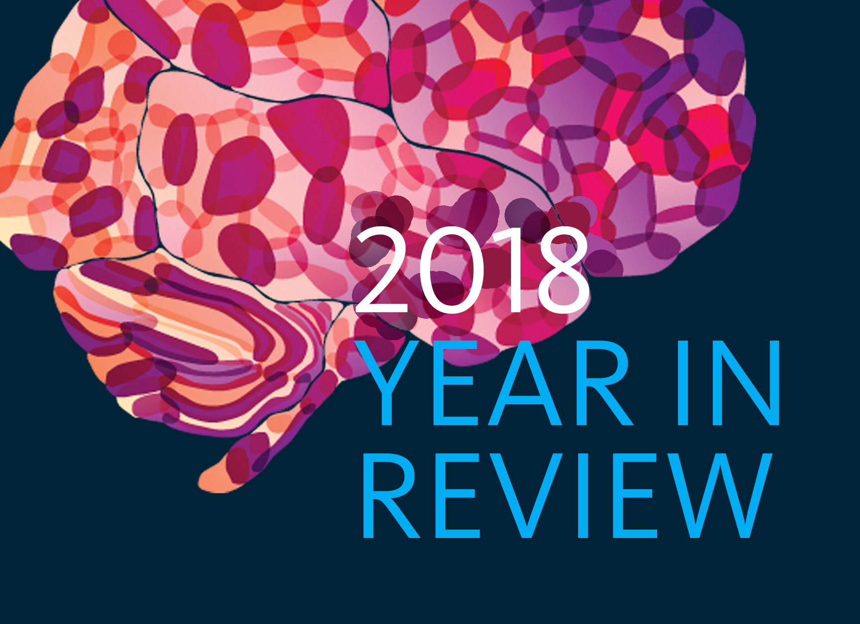 2018 Year in Review