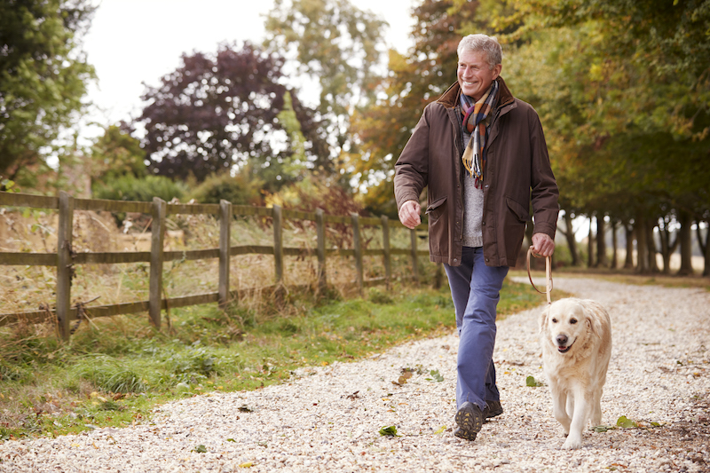 Exercise – it’s not just good for the heart