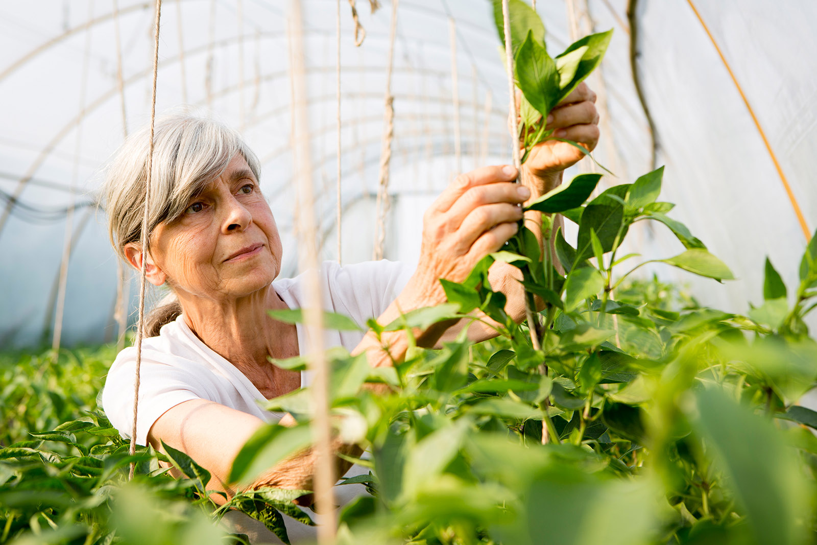 Cognitive and Physical Activity Reduce Your Risk for Dementia