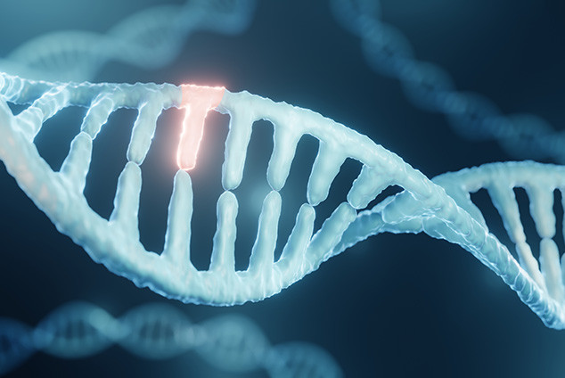 What can you do to prevent Alzheimer’s disease if you have the APOE4 genetic risk factor?