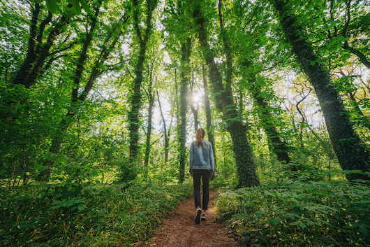 How your local park benefits your brain