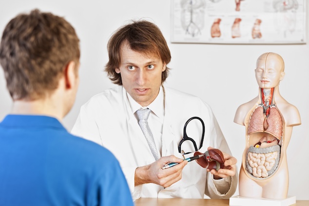 How does the liver affect brain health?