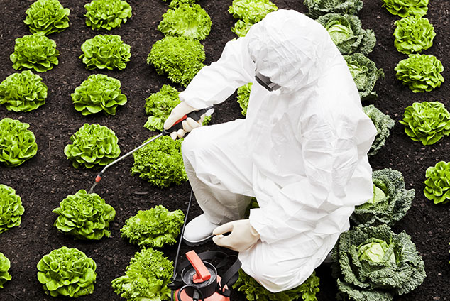 Can pesticide exposure lead to dementia?