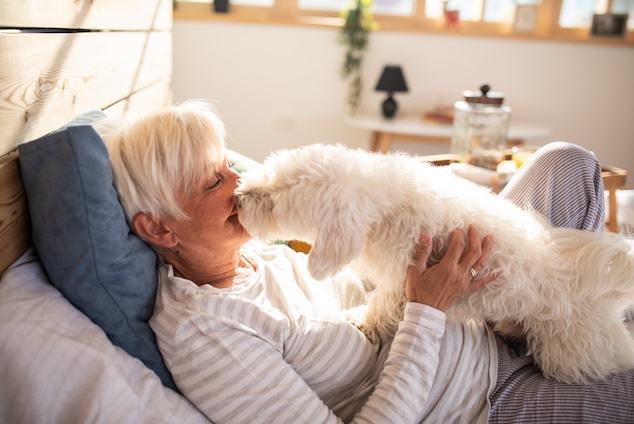 Can pet ownership help protect against cognitive decline?